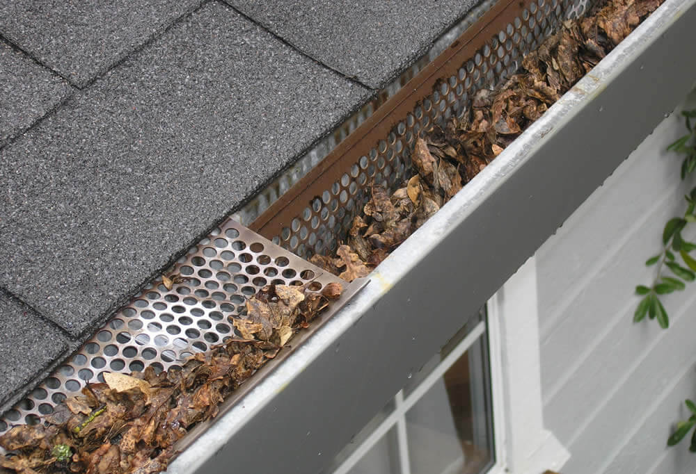 Professional Gutter Cleaning in Wake Forest & Raleigh NC