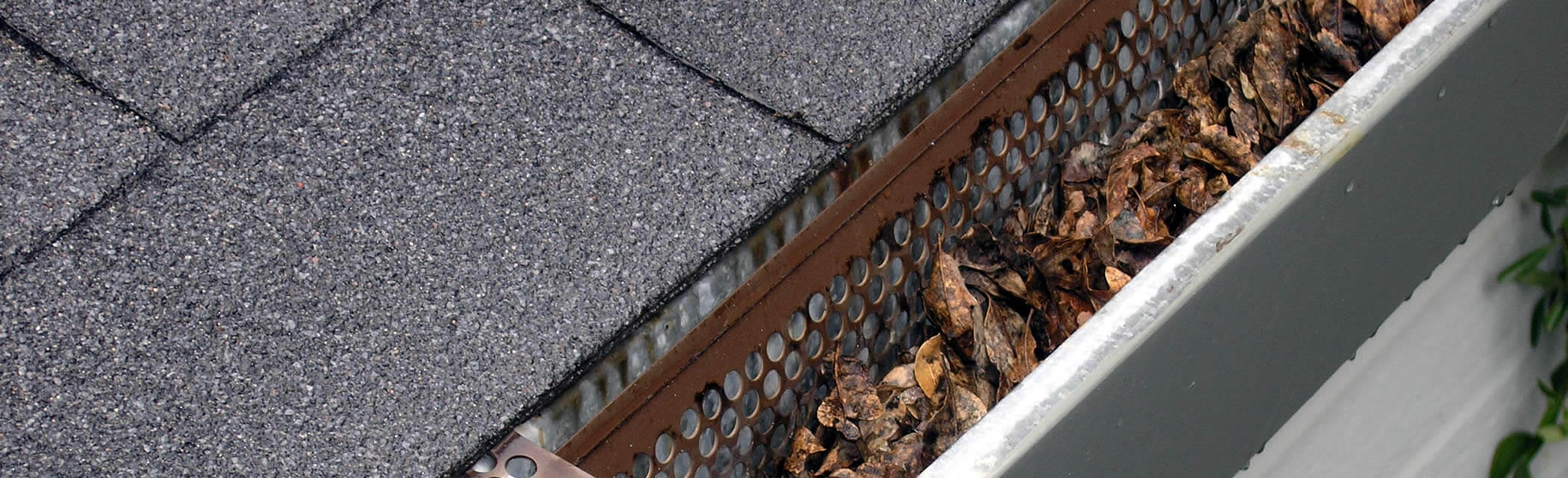 Professional Gutter Cleaning in Wake Forest & Raleigh NC